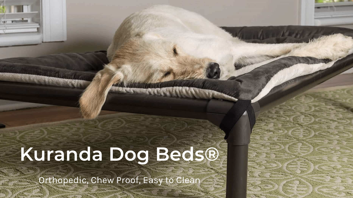 Kuranda Raised Dog Beds
